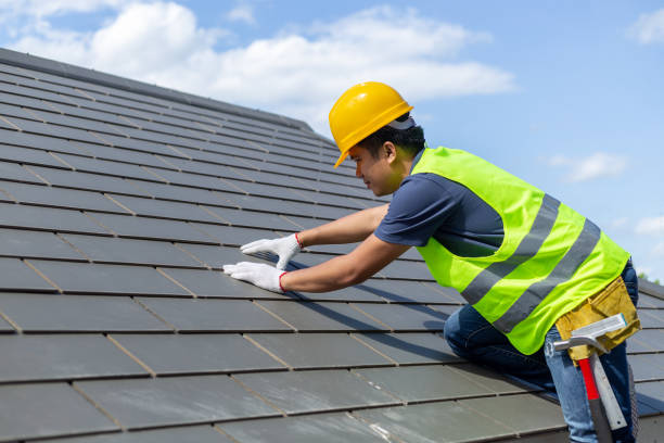 Best Shingle Roofing Installation  in Dane, WI