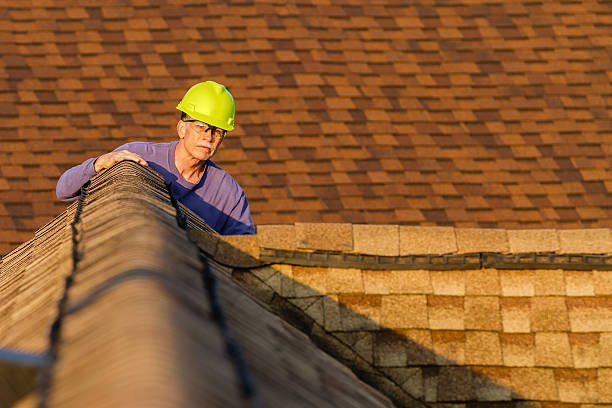 Best Roof Maintenance Services  in Dane, WI