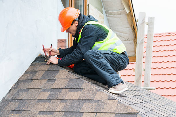 Best Roofing Contractors for Homes  in Dane, WI