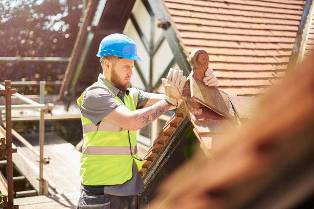 Roof Gutter Cleaning in Dane, WI