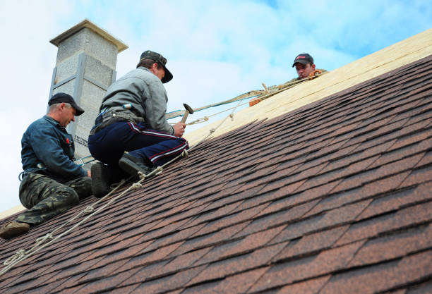 Best Commercial Roofing Services  in Dane, WI