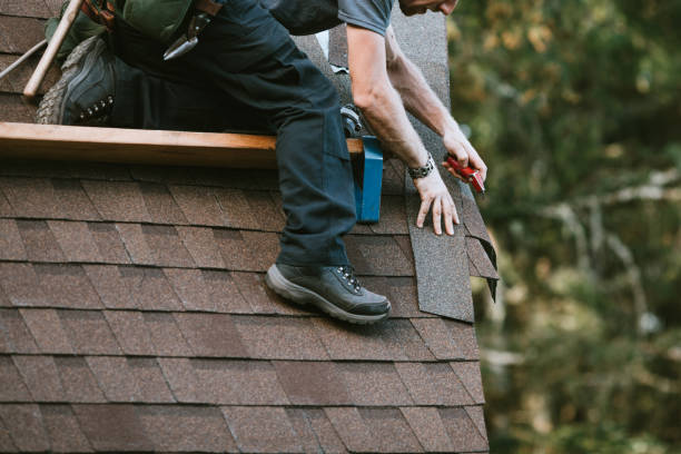 Best Metal Roofing Contractor  in Dane, WI